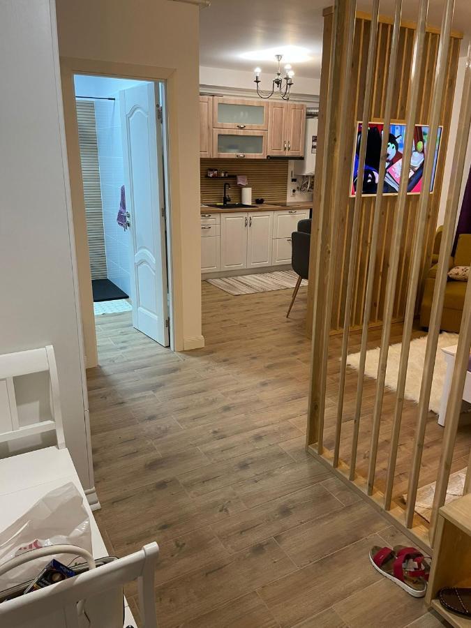 Apartament Gabriela 39 Бая Маре Екстериор снимка