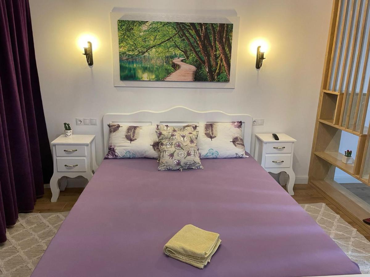 Apartament Gabriela 39 Бая Маре Екстериор снимка