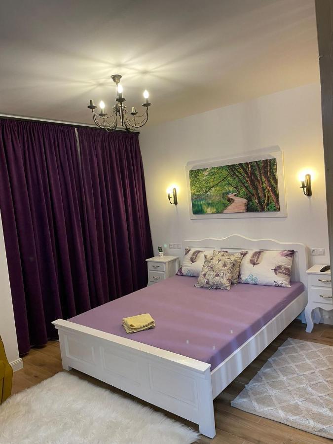 Apartament Gabriela 39 Бая Маре Екстериор снимка